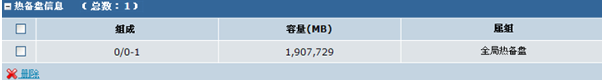 查看全局热备盘信息